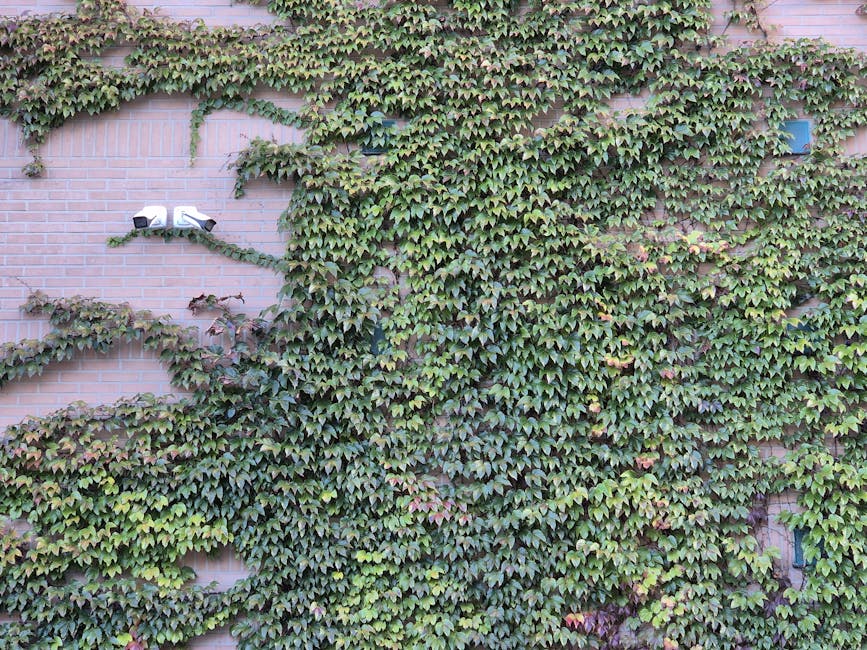 Vibrant ivy plant covering